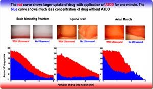 &quot;Drug Treatment Programs Houston Tx